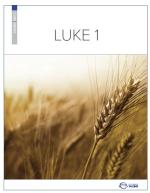 Product Description: LUKE 1 is the first Core Series workbook to use for your conversation sessions. Luke 1 introducesthe lifeof Jesus and encouragesmeaningful conversations relevant to people of all cultures and beliefs.</br></br>LUKE 1 contains: 14 sessions, conversation guidelines, and sample questions.</br></br>Core Series materials designed to be used in order: LUKE 1, LUKE 2, ACTS 1, ACTS 2.</br> LUKE 1 - printed version