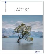 Product Description: ACTS 1 is the third workbook in the Core Series and is a natural sequel to LUKE 1 & 2. This workbook generates relevant conversation about how the teachings of Jesus affected his earliest followers.</br></br>ACTS 1 contains: 14 sessions.</br></br>Core Series workbooks designed to be used in order: LUKE 1, LUKE 2, ACTS 1, ACTS 2.</br> ACTS 1 - printed version